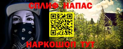 мяу мяу мука Сланцы