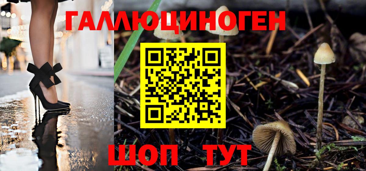 Алушта  Псилоцибиновые грибы ЛСД  Вход с VPN  Псилоцибиновые грибы Cubensis 